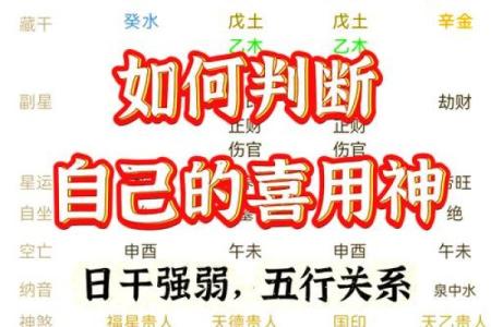 食神是什么意思在八字里