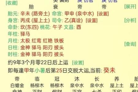 八字七杀,命格是七杀格是什么意思