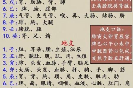 八字亡神什么意思