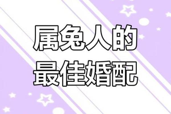 87兔和92猴的姻缘如何 87兔和92猴的八字合不合 87兔和92猴的姻缘如何 87兔和92猴的八字合不合