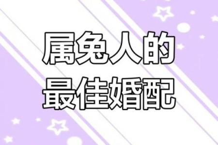 87兔和92猴的姻缘如何 87兔和92猴的八字合不合
