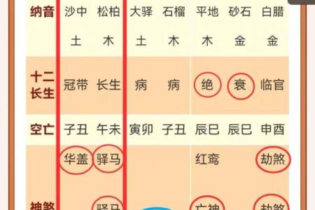 八字日柱壬子的命理详批