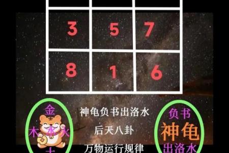 怎么看八字阴阳,八字是怎么数阴阳