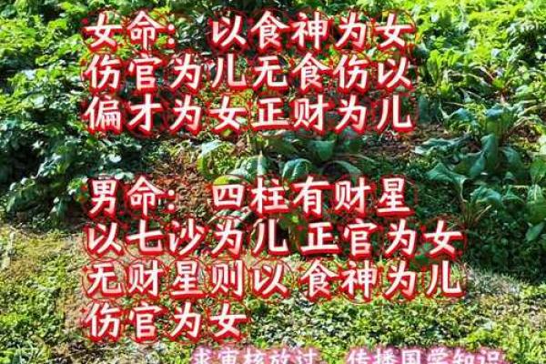 女命八字比肩劫财多，争夫无疑