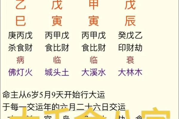 八字财代表啥命
