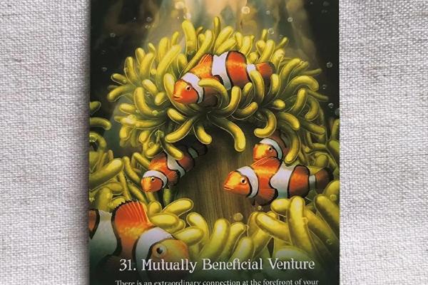 塔罗测试：你是几级懒癌患者？如何提升自己运势？