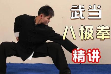 形意拳法——八字功