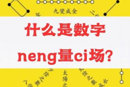 号码测试吉凶数字能量解读